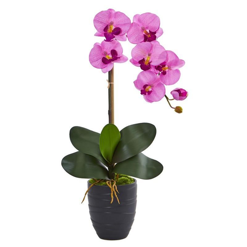 Phalaenopsis Orchid Artificial Arrangement in Black Vase