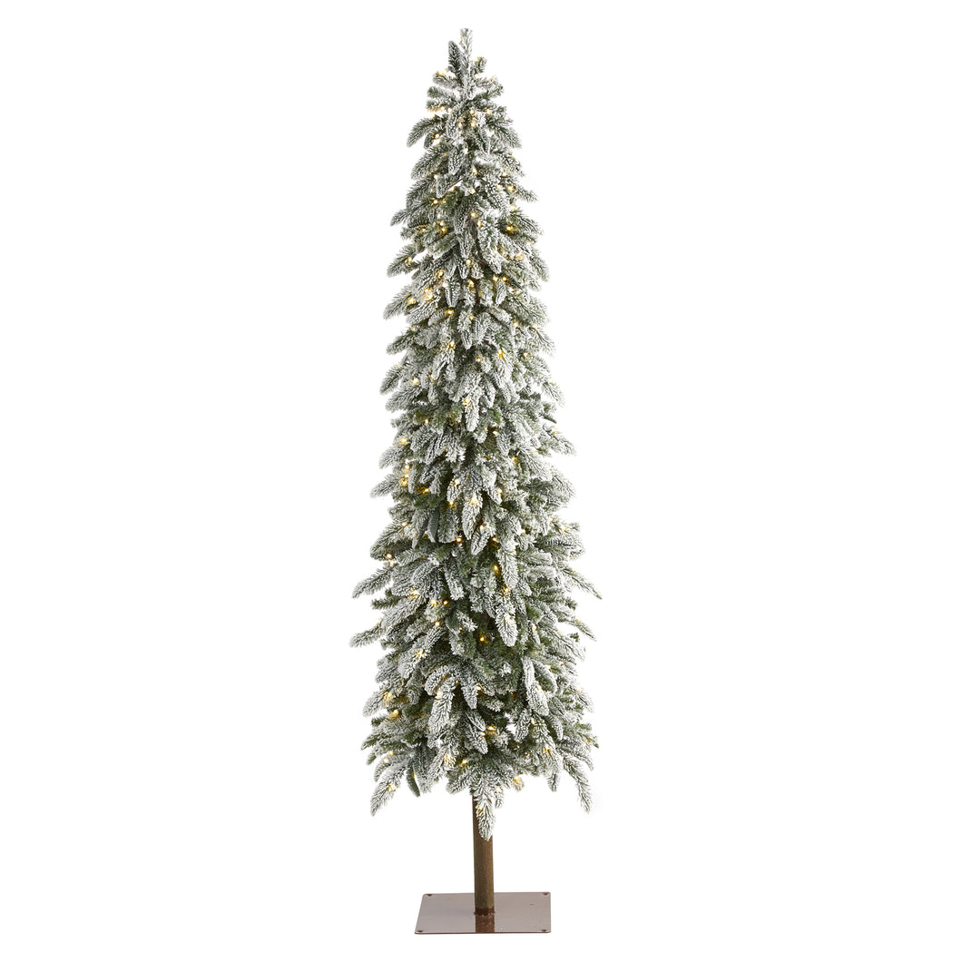 7.5' Flocked Washington Alpine Christmas Artificial Tree w 350 White Warm LED