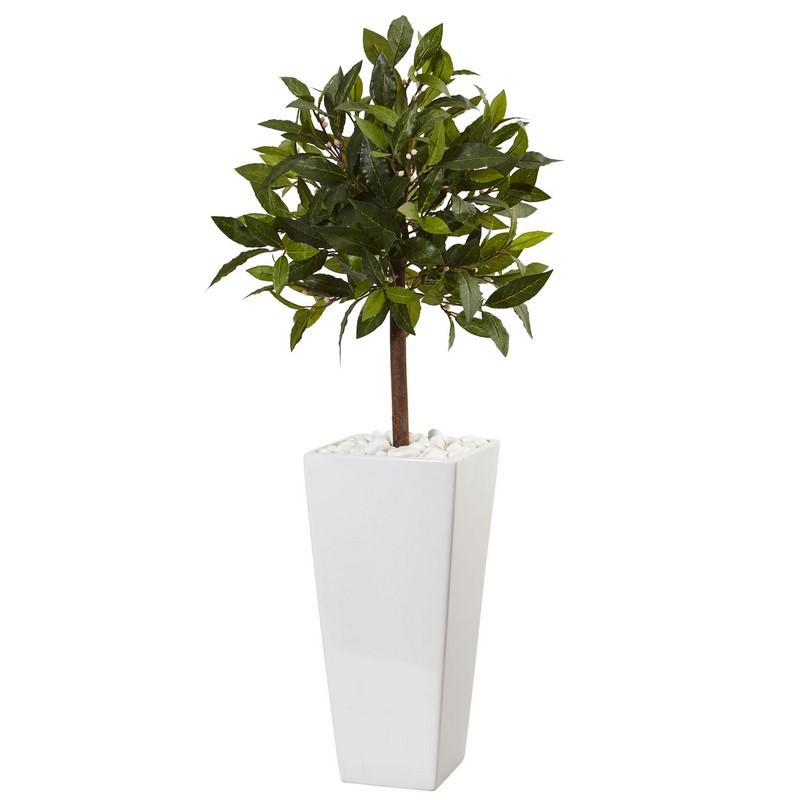 3' Sweet Bay Tree in White Tower Planter