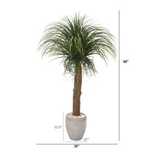 Load image into Gallery viewer, 5&#39; Pony Tail Palm Artificial Plant in Sand Colored Planter
