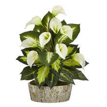 Load image into Gallery viewer, 19&quot; Calla Lily and Golden Dieffenbachia Artificial Plant
