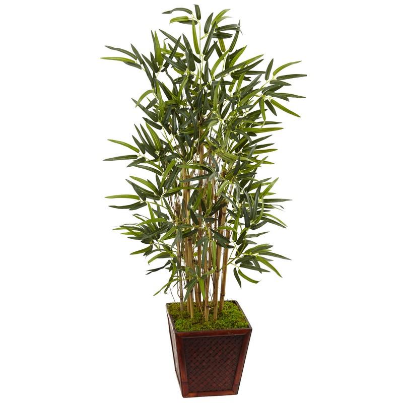 4' Bamboo Tree in Bamboo Square