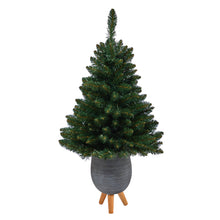 Load image into Gallery viewer, 3.5&#39; Northern Rocky Spruce Artificial Christmas Tree w/ 50 Clear Lights
