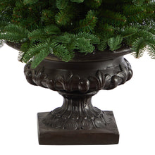 Load image into Gallery viewer, 3.5' South Carolina Spruce Artificial Christmas Tree w/ 100 White Warm Light

