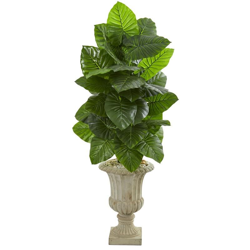 5' Taro Artificial Plant in Sand Finished Urn