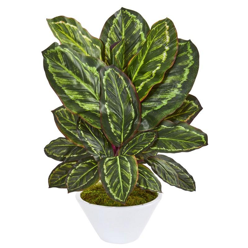 26' Maranta Artificial Plant in White Vase