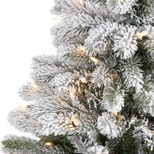 Load image into Gallery viewer, 5&#39; Flocked South Carolina Spruce Artificial Christmas Tree w300 Clear Lights
