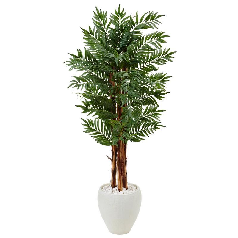 5' Parlor Palm Tree in White Oval Planter