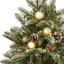 Load image into Gallery viewer, 5&#39; Flocked Whistler Mountain Fir Artificial Christmas Tree
