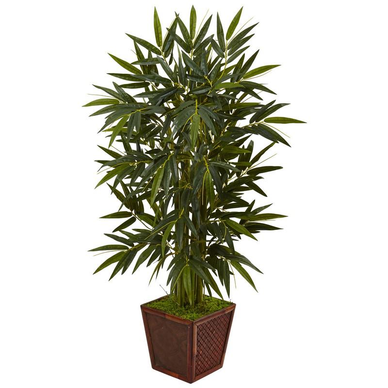 4' Bamboo Tree in Bamboo Square