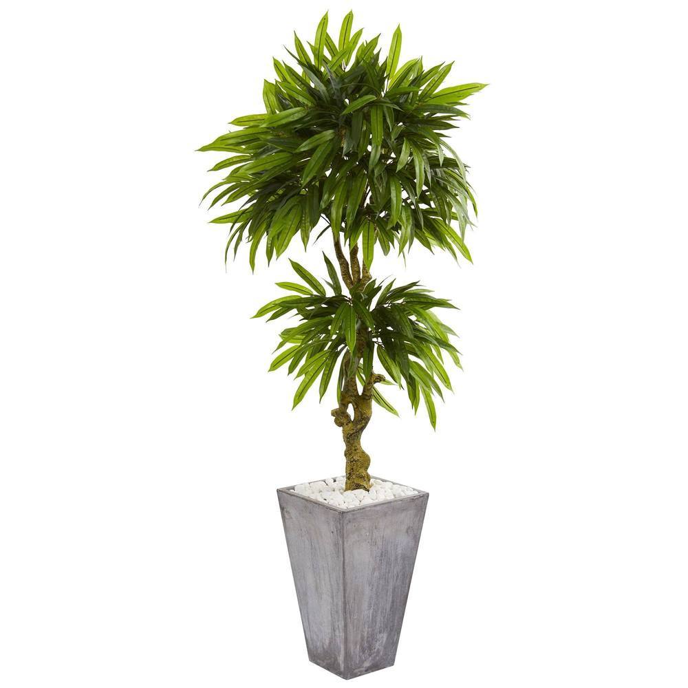5.5' Mango Artificial Tree in Concrete Planter UV Resistant (Indoor/Outdoor)