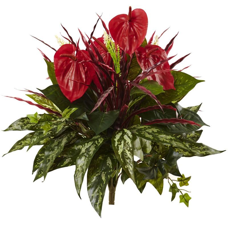 Mixed Anthurium Bush (Set of 2)