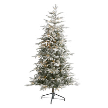 Load image into Gallery viewer, 6.5&#39; Flocked Manchester Spruce Artificial Christmas Tree with 300 Lights
