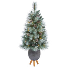 Load image into Gallery viewer, 3.5&#39; Frosted Tip British Columbia Mountain Pine Artificial Christmas Tree

