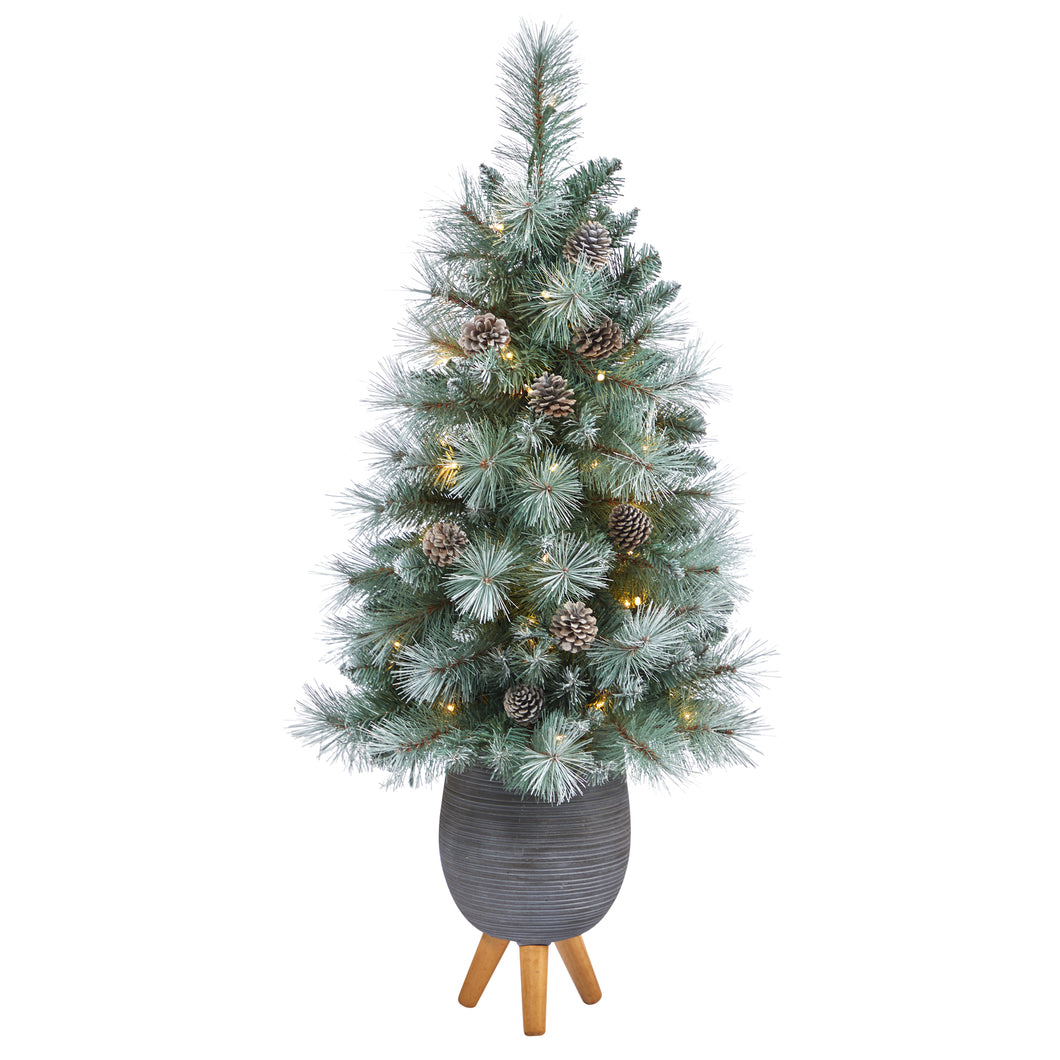 3.5' Frosted Tip British Columbia Mountain Pine Artificial Christmas Tree