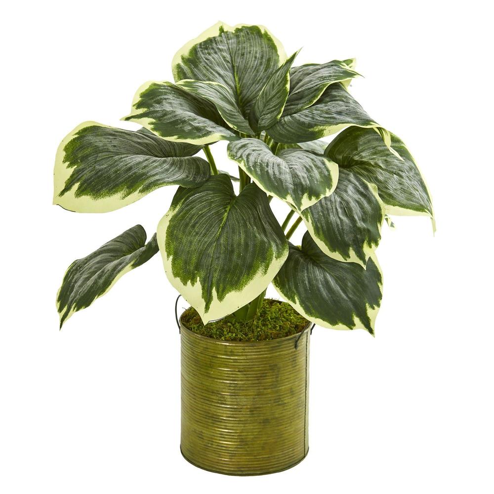 23' Variegated Hosta Artificial Plant in Metal Planter