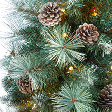 Load image into Gallery viewer, 4.5' Frosted Tip British Columbia Mountain Pine Artificial Christmas Tree
