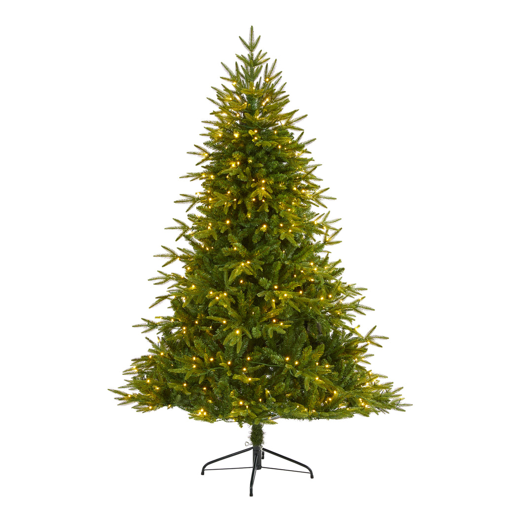 6' Colorado Mountain Fir 'Natural Look' Artificial Christmas Tree w/ 350 LED