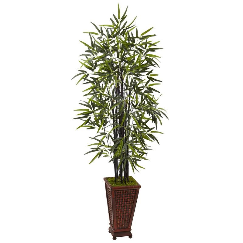 5.5' Black Bamboo Tree in Decorative Planter