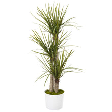 Load image into Gallery viewer, 56&quot; Yucca Artificial Tree in Tin White Planter
