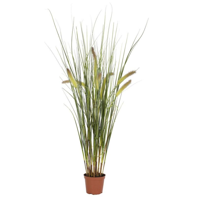 2.5' Grass Plant