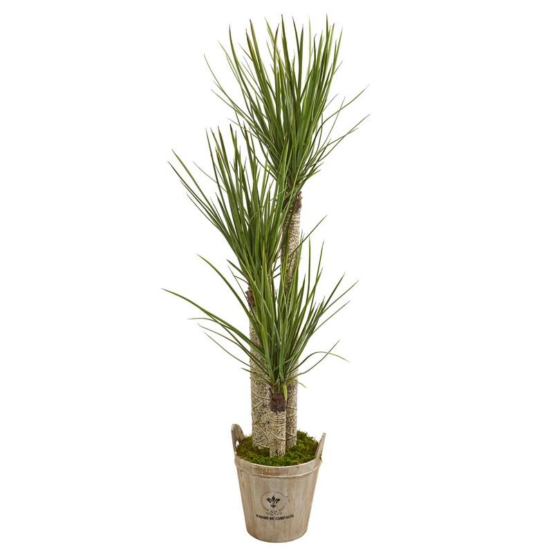 5' Yucca Artificial Tree in Farmhouse Planter