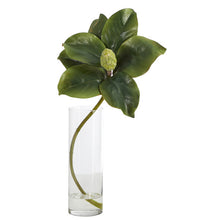 Load image into Gallery viewer, 18&quot; Magnolia Artificial Plant in Glass Planter
