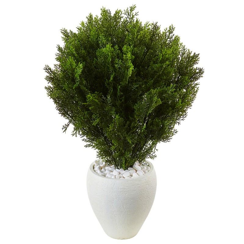 3' Cedar in Oval Textured Planter (Indoor/Outdoor)