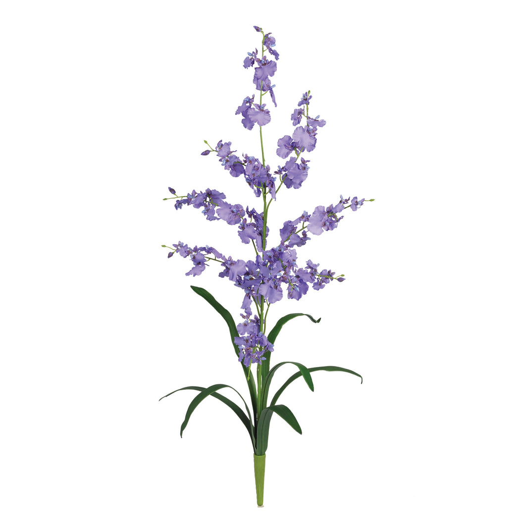 Dancing Lady Silk Orchid Flower (6 Stems)