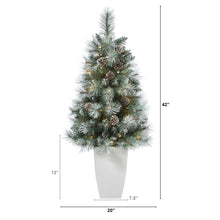 Load image into Gallery viewer, 3.5&#39; Frosted Tip British Columbia Mountain Pine Artificial Christmas Tree
