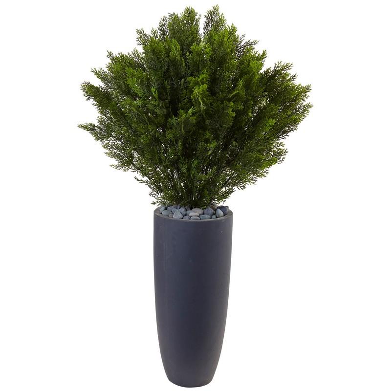 4' Cedar in Cylinder Planter (Indoor/Outdoor)