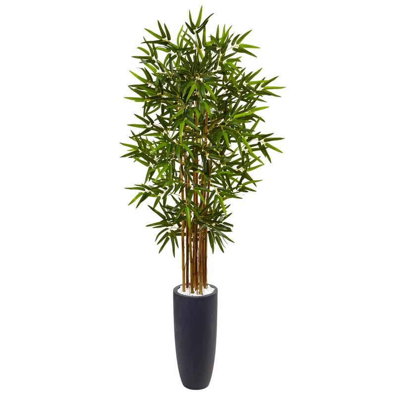 5' Bamboo Tree in Gray Cylinder Planter