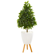 Load image into Gallery viewer, 44&quot; Sweet Bay Cone Topiary Artificial Tree in White Planter with Stand
