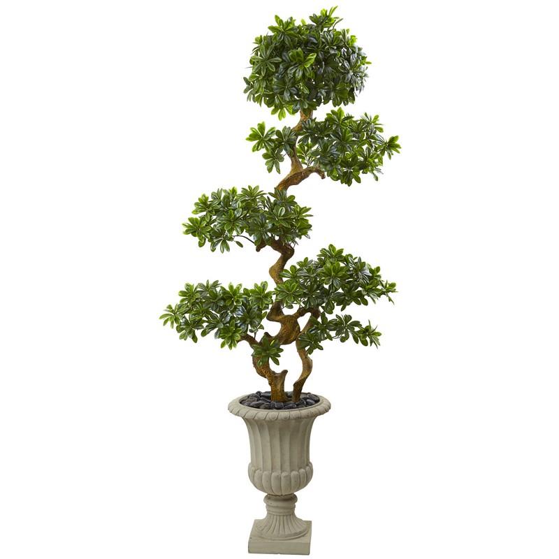 6' Pittosporum Artificial Tree in Urn UV Resistant (Indoor/Outdoor)