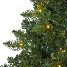 Load image into Gallery viewer, 5&#39; Grand Teton Spruce Flat Back Artificial Christmas Tree
