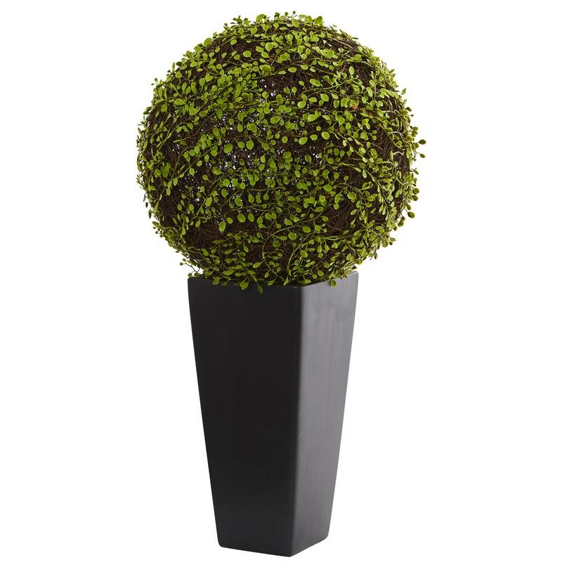 Mohlenbechia Ball Artificial Plant in Black Tower Vase