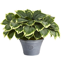 Load image into Gallery viewer, 23&quot; Variegated Hosta Artificial Plant in Gray Planter
