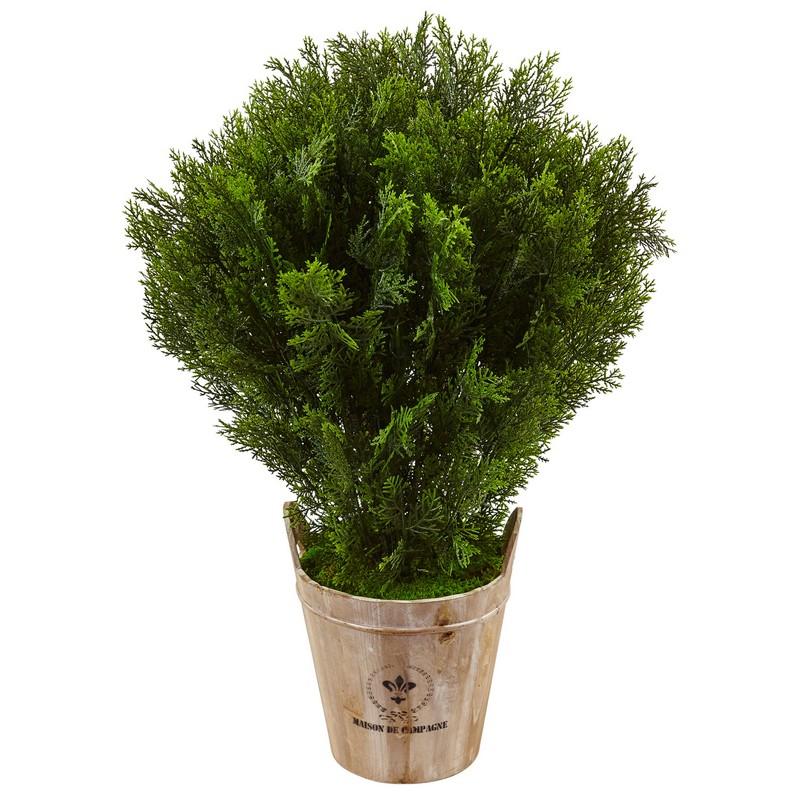 3' Cedar in Barrel Planter (Indoor/Outdoor)