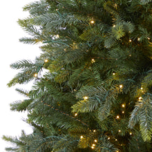 Load image into Gallery viewer, 6.5' Oregon Fir Artificial Christmas Tree w/ 1350 Warm White LED Lights
