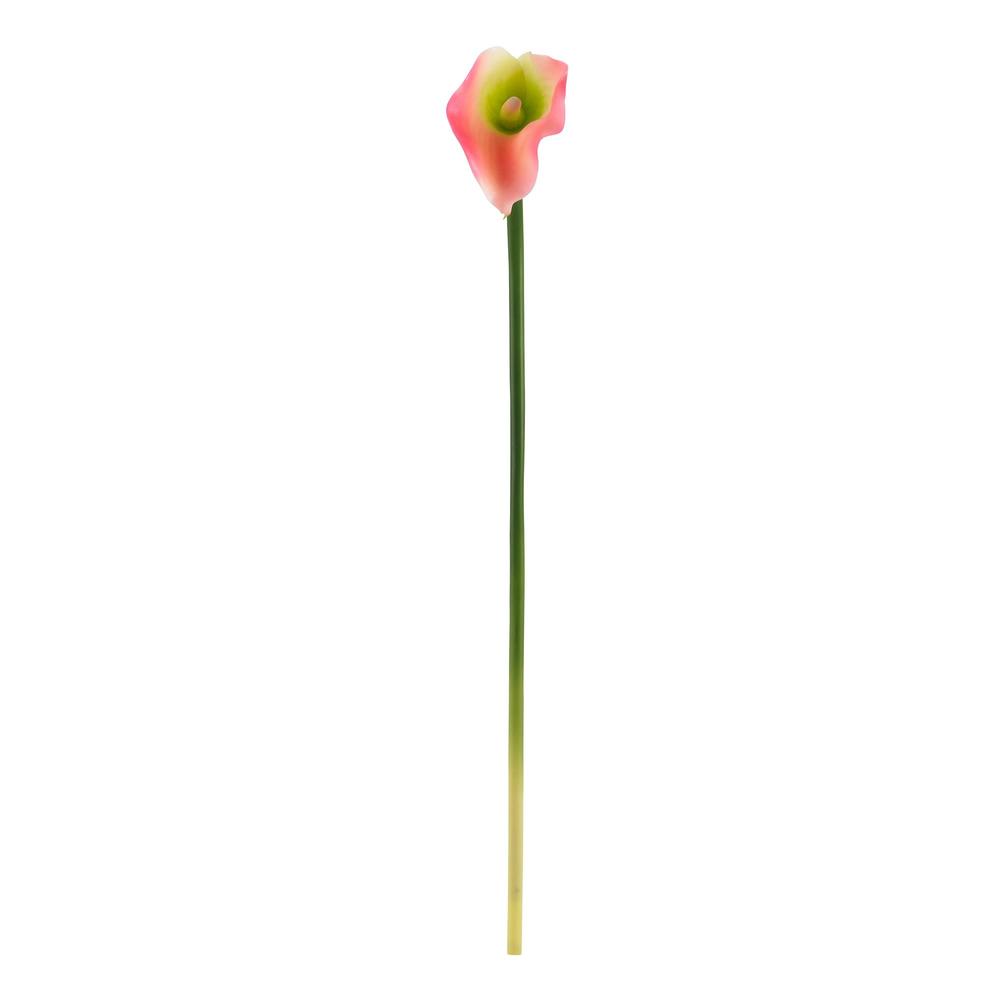 19.5