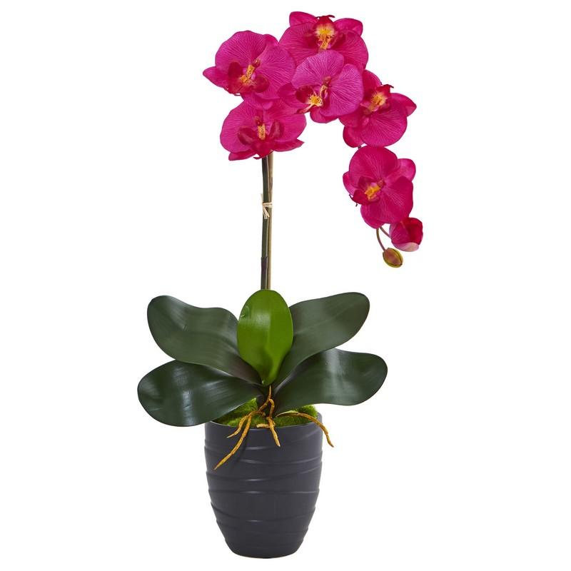 Phalaenopsis Orchid Artificial Arrangement in Black Vase