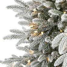 Load image into Gallery viewer, 5.5&#39; Flocked Manchester Spruce Artificial Christmas Tree with 200 Lights
