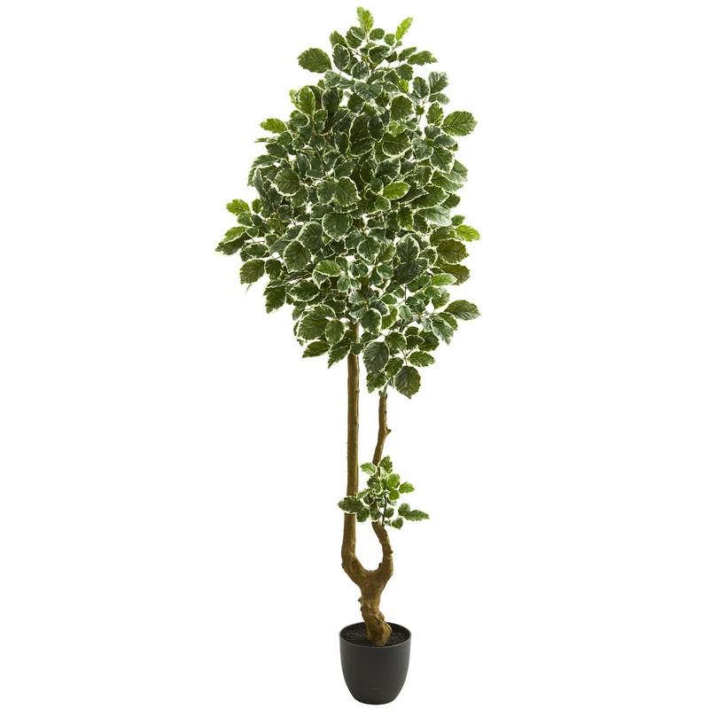 6.5' Variegated Aralia Artificial Tree