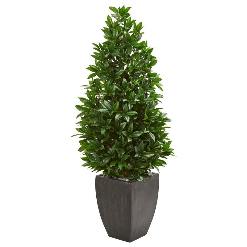 56
