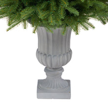 Load image into Gallery viewer, 4.5' Vancouver Fir 'Natural Look' Artificial Christmas Tree w/ 250 Clear LED
