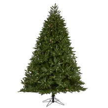 Load image into Gallery viewer, 7&#39; Oregon Spruce Artificial Christmas Tree w/ 850 Warm White Microdot LED Lights
