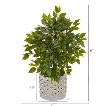 Load image into Gallery viewer, 17" Mini Ficus Artificial Tree in Stoneware Vase with Gold Trimming
