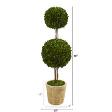 Load image into Gallery viewer, 4&#39; Preserved Boxwood Double Ball Topiary Tree in Planter
