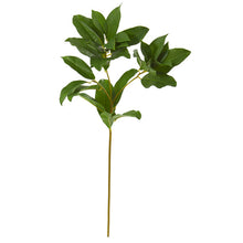 Load image into Gallery viewer, 23&quot; Laurel Leaf Artificial Spray (Set of 6)

