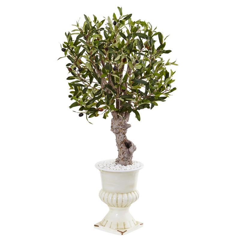 3' Olive Tree in White Urn
